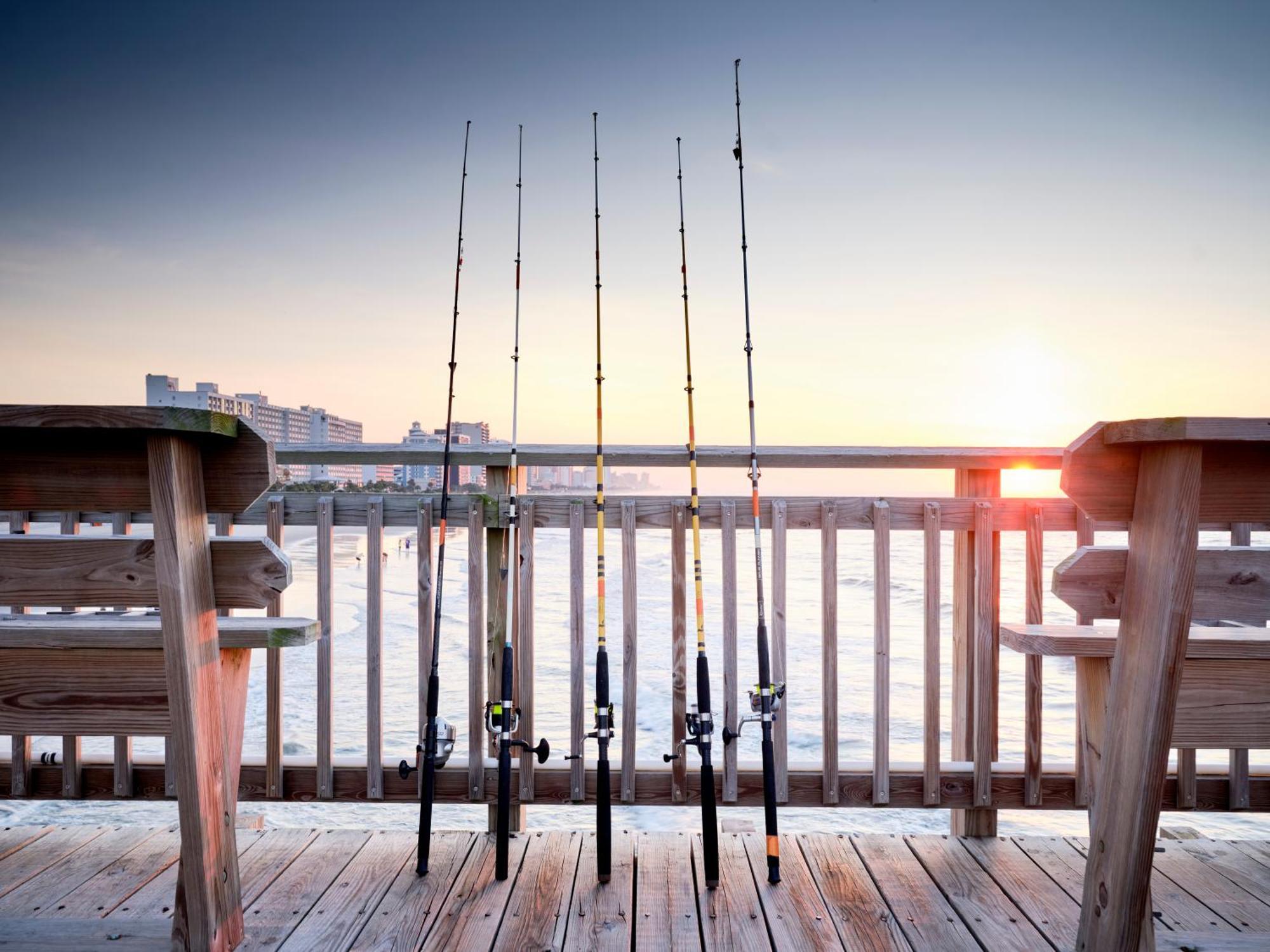 The Ellie Beach Resort Myrtle Beach, Tapestry By Hilton Exterior photo